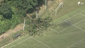 【続報】御殿場市のサッカーグラウンドで試合中に倒木 未就学の女児含む7人が救急搬送…命に別状なし=静岡|TBS NEWS DIG