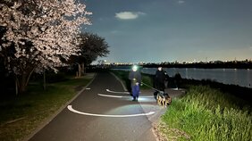 公園で花見中に3歳の男の子行方不明　捜索続く|TBS NEWS DIG