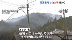関東各地で山火事相次ぐ… 茨城・常陸太田市の住宅・工場火災は山林に延焼中　栃木・鹿沼市の山林でも火事 いずれも鎮圧の見通し立たず|TBS NEWS DIG