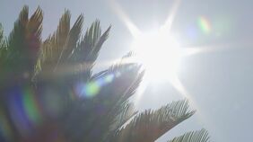 【速報】今年最多の37都府県に「熱中症警戒アラート」発表 大阪と岡山では今年初めて(午前5時発表)|TBS NEWS DIG