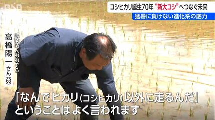 コシヒカリ誕生から70年 ”次世代”へつなぐ未来 岐路に立つ『新潟の米