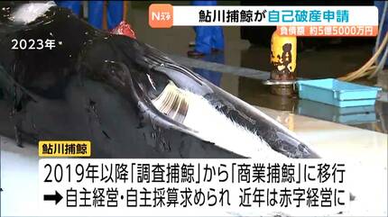 クジラの町で…商業捕鯨業者が自己破産申請 負債5億5000万円 宮城・石巻
