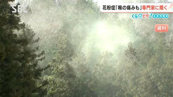 スギ花粉の飛散　長野では去年の3倍ペース!?【くらピタ】鼻水、目のかゆみ、のどの“イガイガ”も…耳鼻科医に聞く今シーズンの花粉症の特徴は？　|　SBC NEWS | 長野のニュース | SBC信越放送