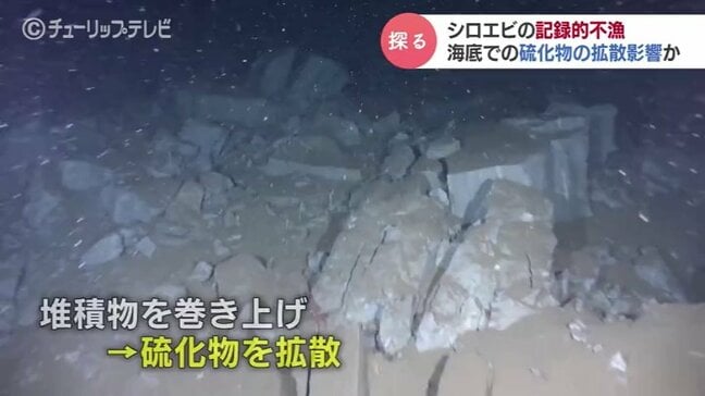 富山湾シロエビ激減のなぜ？能登半島地震で起きた海底「乱泥流」の正体　水中ドローンが捉えた痕跡|TBS NEWS DIG