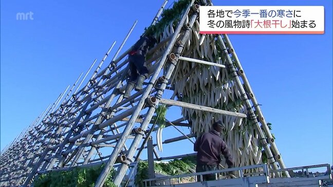 4日の宮崎県内は今季一番の寒さ　宮崎市田野町では冬の風物詩「大根干し」　 5日も各地で真冬並みの気温に|TBS NEWS DIG