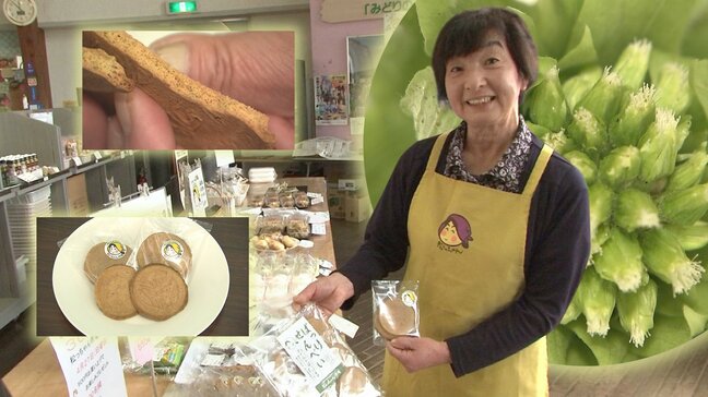 春のおやつ④フキノトウのなかでもこだわりの品種を使用した「ばっけせんべい」　八幡平市|TBS NEWS DIG