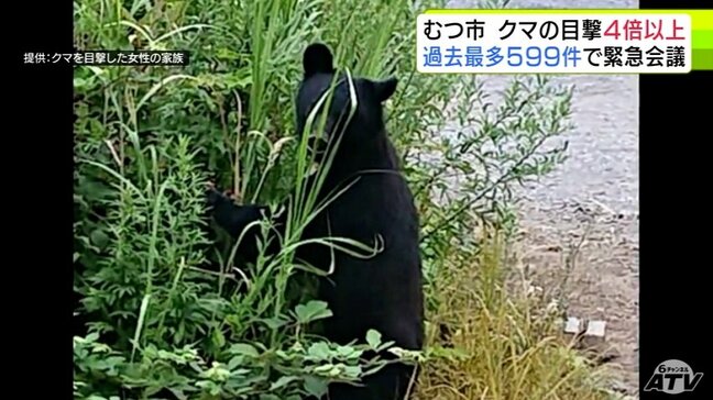 緊急会議　青森県むつ市で「クマの目撃情報」がこれまでの過去最多の4倍以上となる599件　急増するクマへの対策を協議|TBS NEWS DIG