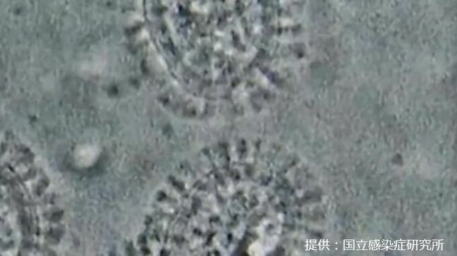 【インフルエンザ2025】今年の特徴は?いつ収束する?100以上の施設で学年・学級閉鎖【岡山・香川】|TBS NEWS DIG