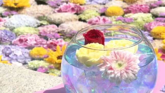 「花があると心がなごむし笑顔になれる」恋人の聖地“松山城の二之丸史跡庭園”で「恋する庭園」が開催中 愛媛県・松山市|TBS NEWS DIG