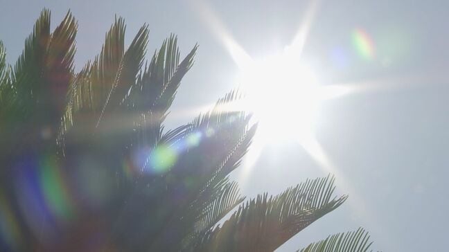 東京都心で31.9度記録　3年ぶり“10月の真夏日”　台風17号が持ち込んだ暖気が影響|TBS NEWS DIG