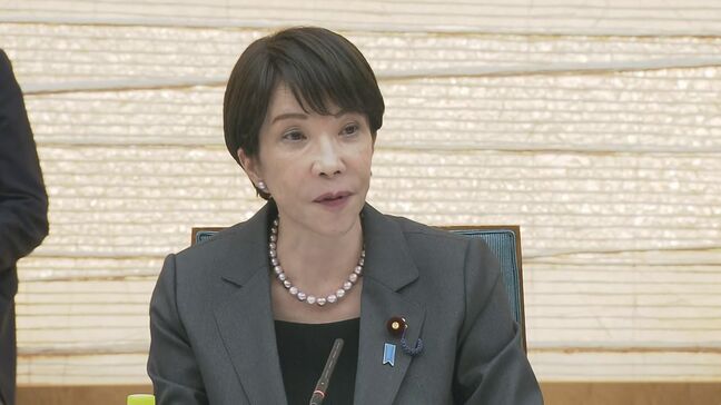 高市政権初の成長戦略 官民投資額370兆円想定…「フィジカルAI」10.5兆 「半導体」68兆 「核融合発電」3.1兆など 実際に民間投資引き出し成長できるか焦点|TBS NEWS DIG