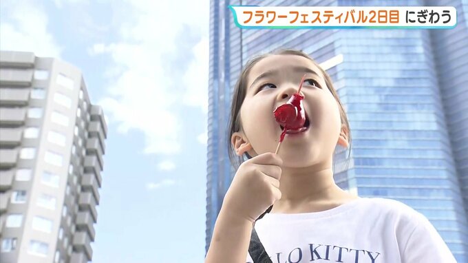 「いちご飴が1番楽しみ」ひろしまフラワーフェスティバル2日は晴れて家族連れでにぎわう　|　RCC NEWS | 広島ニュース | RCC中国放送