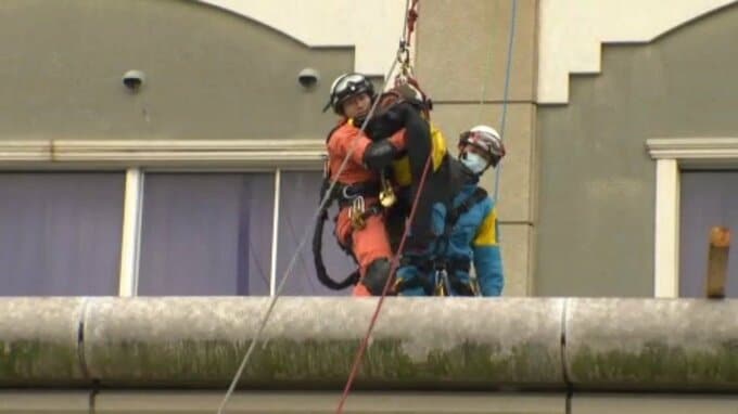 病院で大規模地震と火災を想定した訓練 患者避難や負傷者救出 はしご車による消火活動など災害時の連携を確認 愛媛・松山市|TBS NEWS DIG