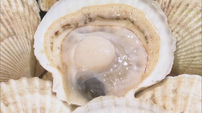 10月･中国向け水産物の輸出額が8割以上↓ “処理水”排出の影響で　農水省