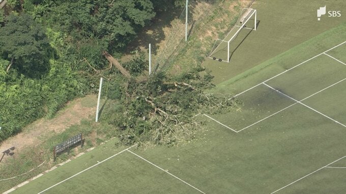 【速報】御殿場市のサッカーグラウンドに倒木 子ども含む7人が救急搬送 命に別状なし＝静岡|TBS NEWS DIG