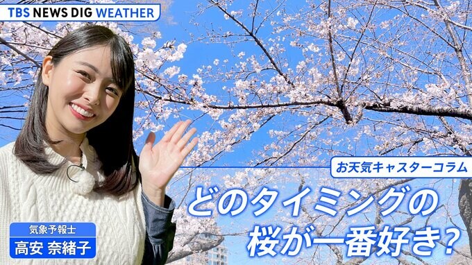 あなたはどのタイミングの桜が一番好き？私が“五分咲き”を好きだった理由【高安奈緒子のお天気コラム】|TBS NEWS DIG