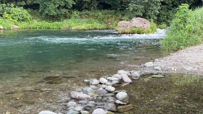 溺れた飼い犬のプードルを助けに行った84歳女性が川で流される　救助されるも意識不明　神奈川・愛川町|TBS NEWS DIG