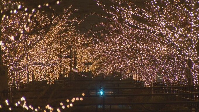 石和温泉郷の桜並木に55万球のイルミネーション　温泉街が幻想的な雰囲気に|TBS NEWS DIG