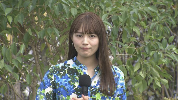 川口春奈さん　新型コロナウイルス感染を公表「一定期間療養及び経過観察」|TBS NEWS DIG