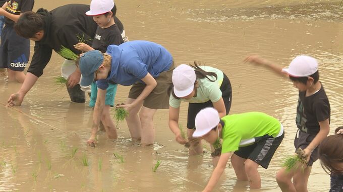 おいしいお米を作り隊　児童が地域の人とふれあいながら田植え体験　山口　|　山口のニュース・天気・防災｜tys NEWS｜ｔｙｓテレビ山口