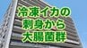 冷凍イカの刺し身から大腸菌群検出　食品衛生法違反で釜石市の製造業者に回収命令　販売量は200パック　岩手　|　IBC NEWS | IBC岩手放送