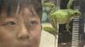 カエルに魅せられたスーパー小学生「かえるクン」　どっぷりハマって水族館の解説も…　富山　|　富山のニュース｜天気・防災｜チューリップテレビ