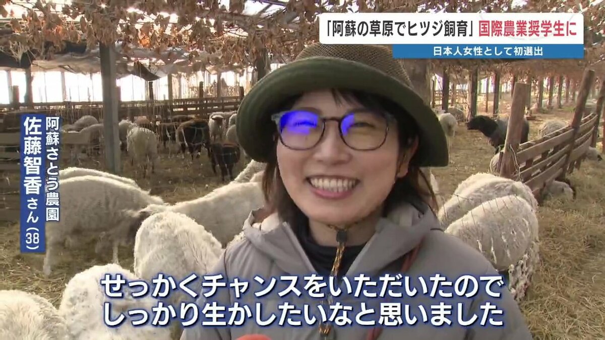 ヒツジ放牧 5頭から200頭に 日本人女性初の農業奨学生に「阿蘇さとう