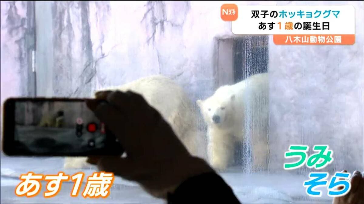 ☆くまのみ様確認用☆ ☆くまのみ様確認用 くまのみ様確認用☆ 93893)スクリュー ホンダ