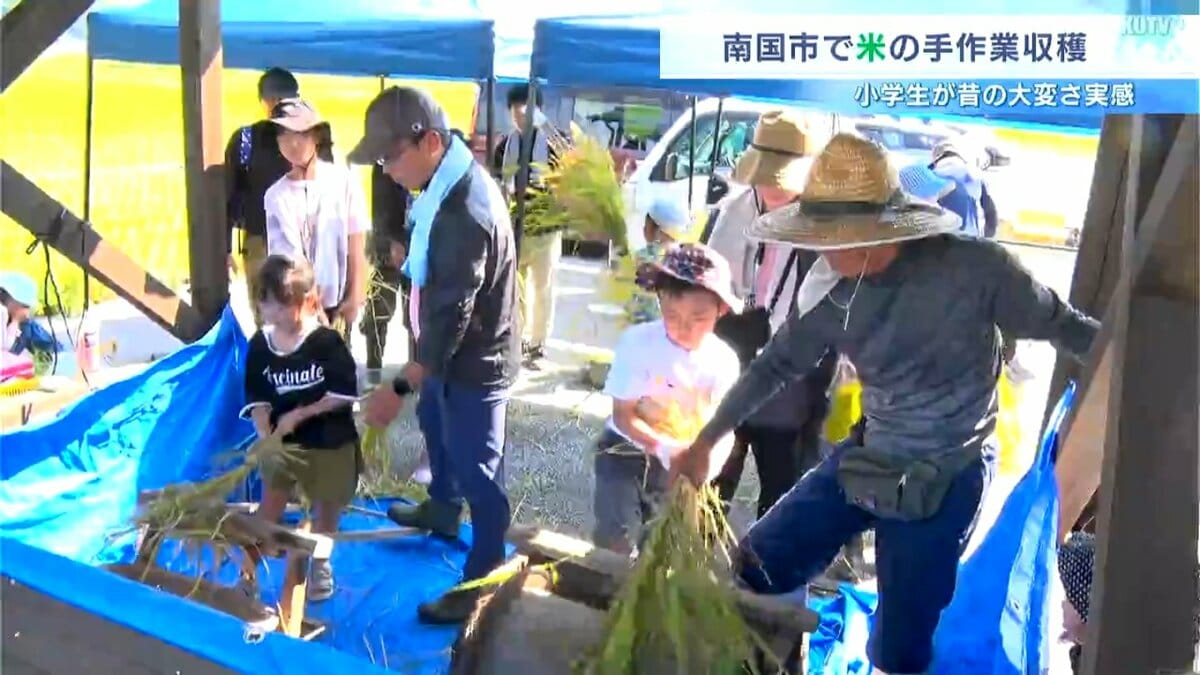 「昔の人は大変、でもすごい！」　小学生らが手作業で米を収穫【高知】
