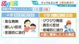 インフルエンザ“再拡大”東京2度目の注意報 「B型」の特徴・ワクチン接種は？【ひるおび】|TBS NEWS DIG