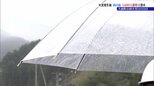 「やっと降った」　大槌町山林火災6日目で初めて雨を観測するも鎮火に至らず　1400人超で消火活動続く|TBS NEWS DIG