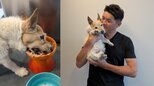 【 いぬ 】照英さんの愛犬テン　 “お昼ご飯を爆食中です” 　高齢でも「嗅覚だけは抜群です」　けなげな姿をフォロワー応援「こっちも幸せになります」|TBS NEWS DIG