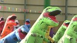 「位置についてよーい・・・ガオー!」 冬も楽しくスポーツ 39頭の“ティラノサウルス”が全力レース 岩手・北上市|TBS NEWS DIG