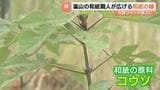 最終処分場で育つ新たな命　富山の和紙職人が「万博コウゾ」植樹　「環境を作る次のステージへ」|TBS NEWS DIG