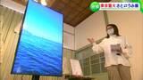 「地球の一員として感じて」東京芸大と香川が”瀬戸内海の環境”をテーマに「さとうみ展」 | 岡山・香川のニュース | 天気 | RSK山陽放送