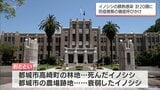 宮崎県内で野生イノシシの「豚熱」感染が20頭に 専門家「一般の人も靴の裏の泥を落とす意識を」|TBS NEWS DIG