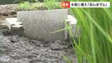 水田に一時的に水をためこむ「田んぼダム」で豪雨に備えを 導入が進む現地の田んぼを取材【岡山・倉敷市】|TBS NEWS DIG
