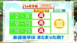 この暑い日はいつまで続くのか?東北太平洋側の1か月予報は tbc気象台|TBS NEWS DIG