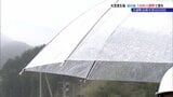 「やっと降った」　大槌町山林火災6日目で初めて雨を観測するも鎮火に至らず　1400人超で消火活動続く　|　IBC NEWS | IBC岩手放送