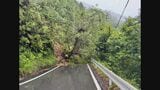 台風7号東海地方に最接近 三重県の一部は強風域に…最新の進路予想は？雨強まり土砂崩落も【台風情報】|TBS NEWS DIG
