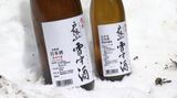 「冬眠」から覚めてよりまろやかに　雪の中で3か月熟成「戸隠山雪中酒」3300本の掘り出し作業　23日から販売へ　|　SBC NEWS | 長野のニュース | SBC信越放送