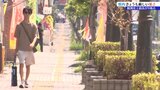 内陸で猛暑日 熱中症で8人が搬送される 岩手|TBS NEWS DIG