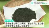 良質で香り高い仕上がりに 土佐茶の消費拡大へ“新茶まつり” | 高知のニュース・天気|KUTV NEWS | KUTVテレビ高知