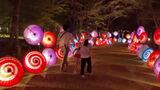 和傘の散策路や祭りのやぐらも　光で彩る日本の夏　国営アルプスあづみの公園で5日から「サマーイルミネーション」（長野・ 大町市）|TBS NEWS DIG
