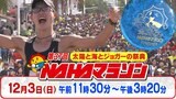 【LIVE】第37回NAHAマラソン 沖縄の師走の風物詩が今年もやってきた 制限時間まで市民ランナーの雄姿、沿道の応援をトコトンお届け! | 沖縄のニュース|RBC 琉球放送