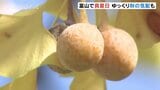 9月に入っても富山で真夏日 ゆっくり秋の気配も |TBS NEWS DIG