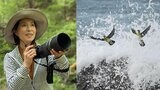 【 磯野貴理子 】 大磯で “アオバト” 撮影ショット公開「命がけで海水を飲む謎の習性」に感嘆 「自然の豊かさを感じた」「なんか涙が出ました!」の声|TBS NEWS DIG