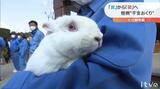 心ぴょんぴょん 干支が“交代” 愛媛の動物園 | 愛媛のニュース - Nスタえひめ|あいテレビは6チャンネル