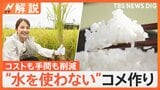 水をほとんど使わないコメ作り カギは“ビール”？ 新農法はメタンガスも削減【Nスタ解説】|TBS NEWS DIG