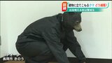 これからクマの季節「エサとなりそうな木の実や野菜くずなどはそのままにしない」 | 新潟のニュース・天気|BSN NEWS|BSN新潟放送